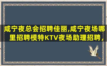 临沂KTV招聘